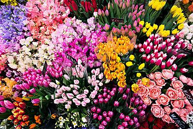 《哥谭骑士》合作玩家可分别设定难度 新截图赏